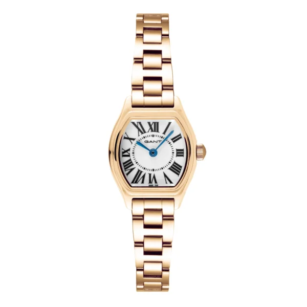 G301003_main-600x600.webp